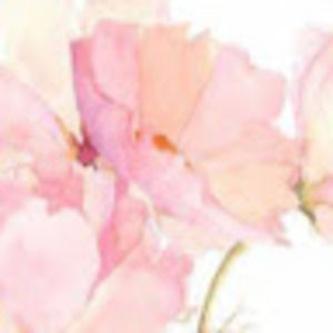 Meet your Posher, Brooklyn